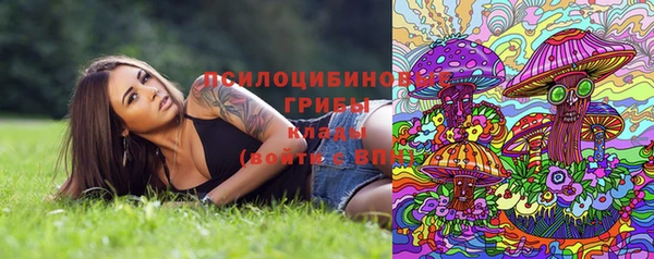 гидра Покровск