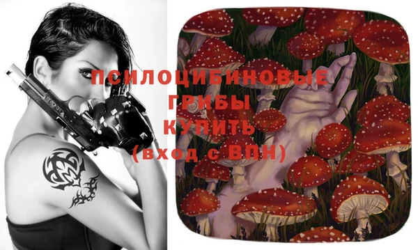 МДПВ Покачи