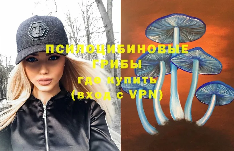 Галлюциногенные грибы Magic Shrooms  цена   Александровск 