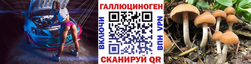 что такое наркотик  Александровск  Псилоцибиновые грибы Psilocybine cubensis 